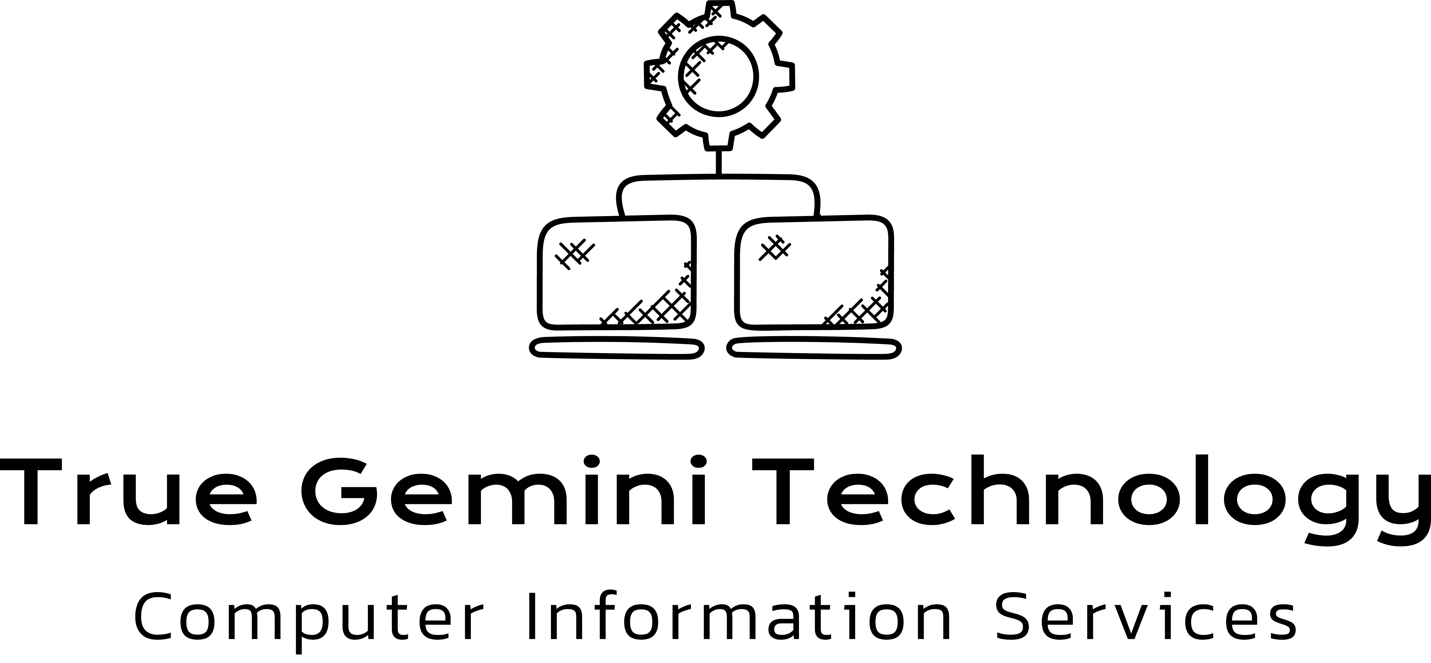 True Gemini Technology - Computer Information Services